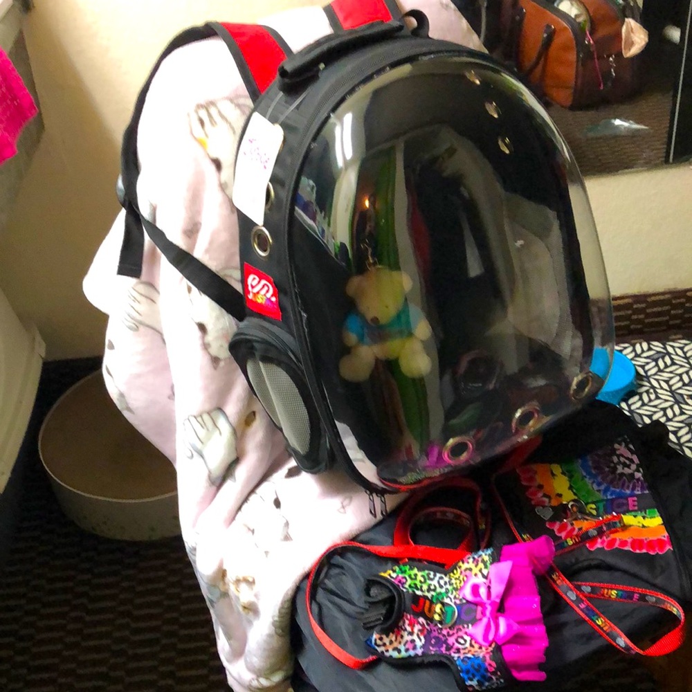 Pet Carrier & pet clothing bundle 🐶🐱🐶🐰